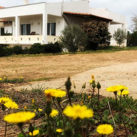 הוילה The Hillhouse Near Alexandroupolis מראה חיצוני תמונה